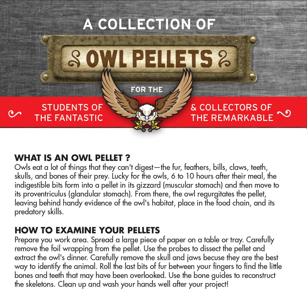 Owl Pellet Dissection Lab: Ecosystem Science, Food Webs, and Comparative Anatomy Exploration Kit