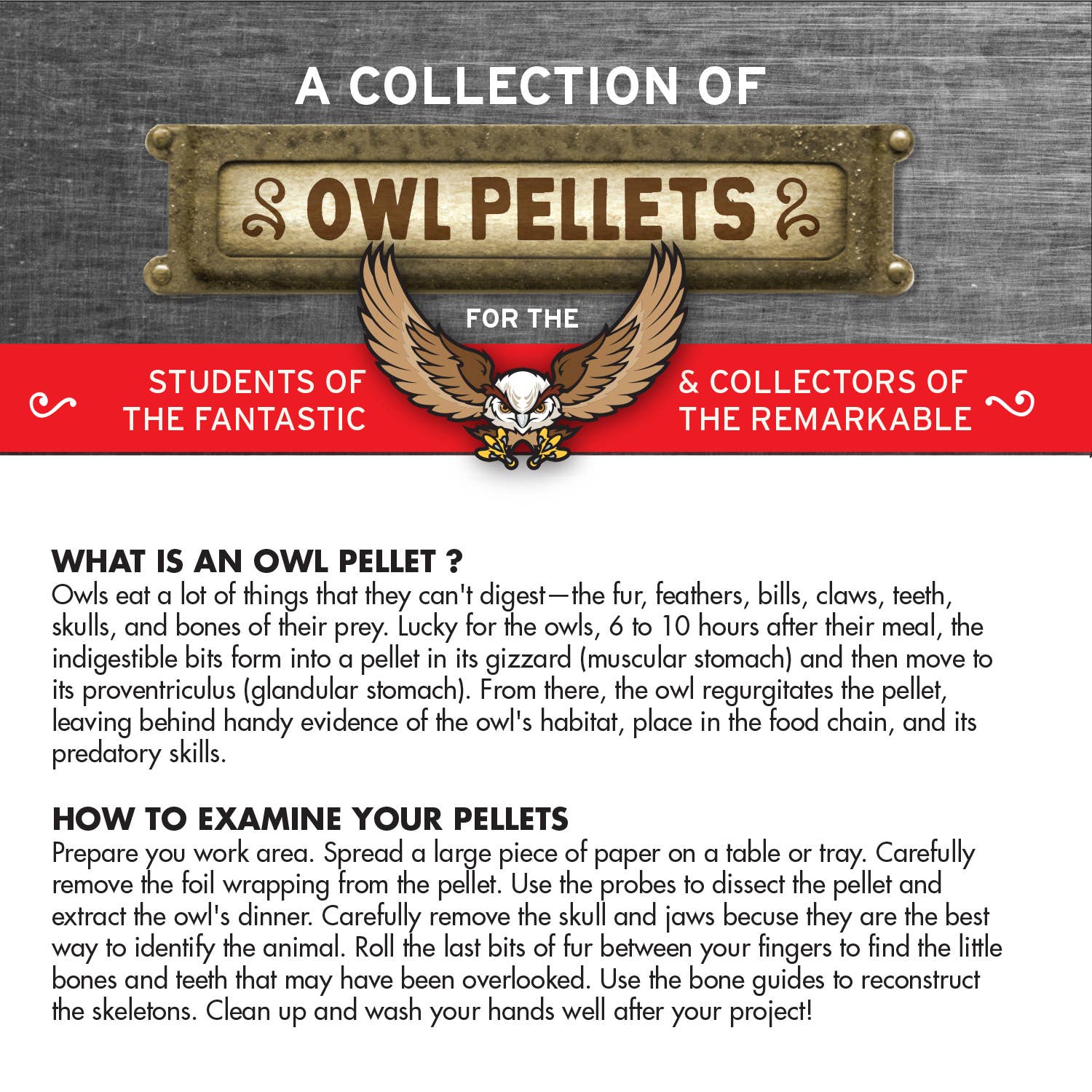 Owl Pellet Dissection Lab: Ecosystem Science, Food Webs, and Comparative Anatomy Exploration Kit