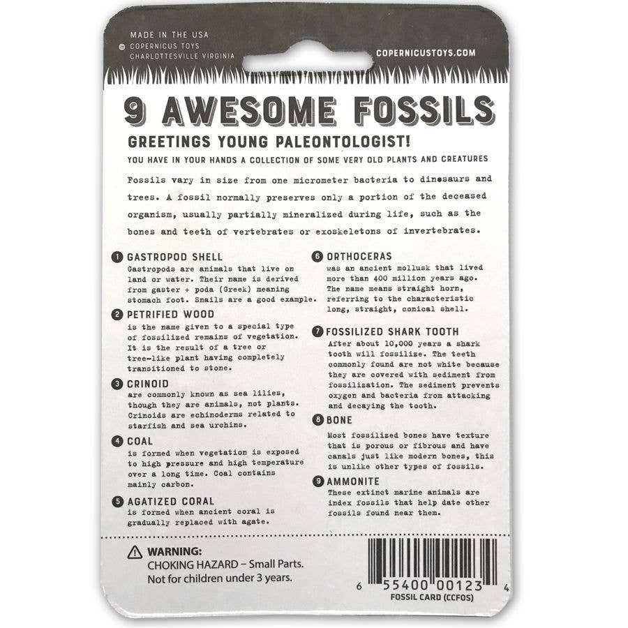 Earth Science Discovery Collection: Rocks, Minerals, Gemstones, and Fossil Identification Study Set