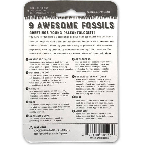 Earth Science Discovery Collection: Rocks, Minerals, Gemstones, and Fossil Identification Study Set