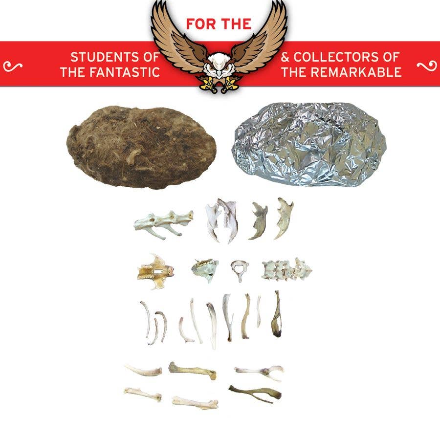 Owl Pellet Dissection Lab: Ecosystem Science, Food Webs, and Comparative Anatomy Exploration Kit