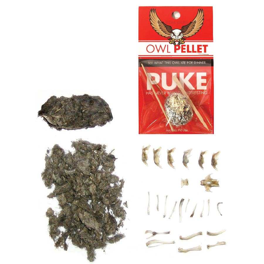 Wildlife Ecology & Owl Pellet Dissection Lab: Food Chain and Skeletal Analysis Activity