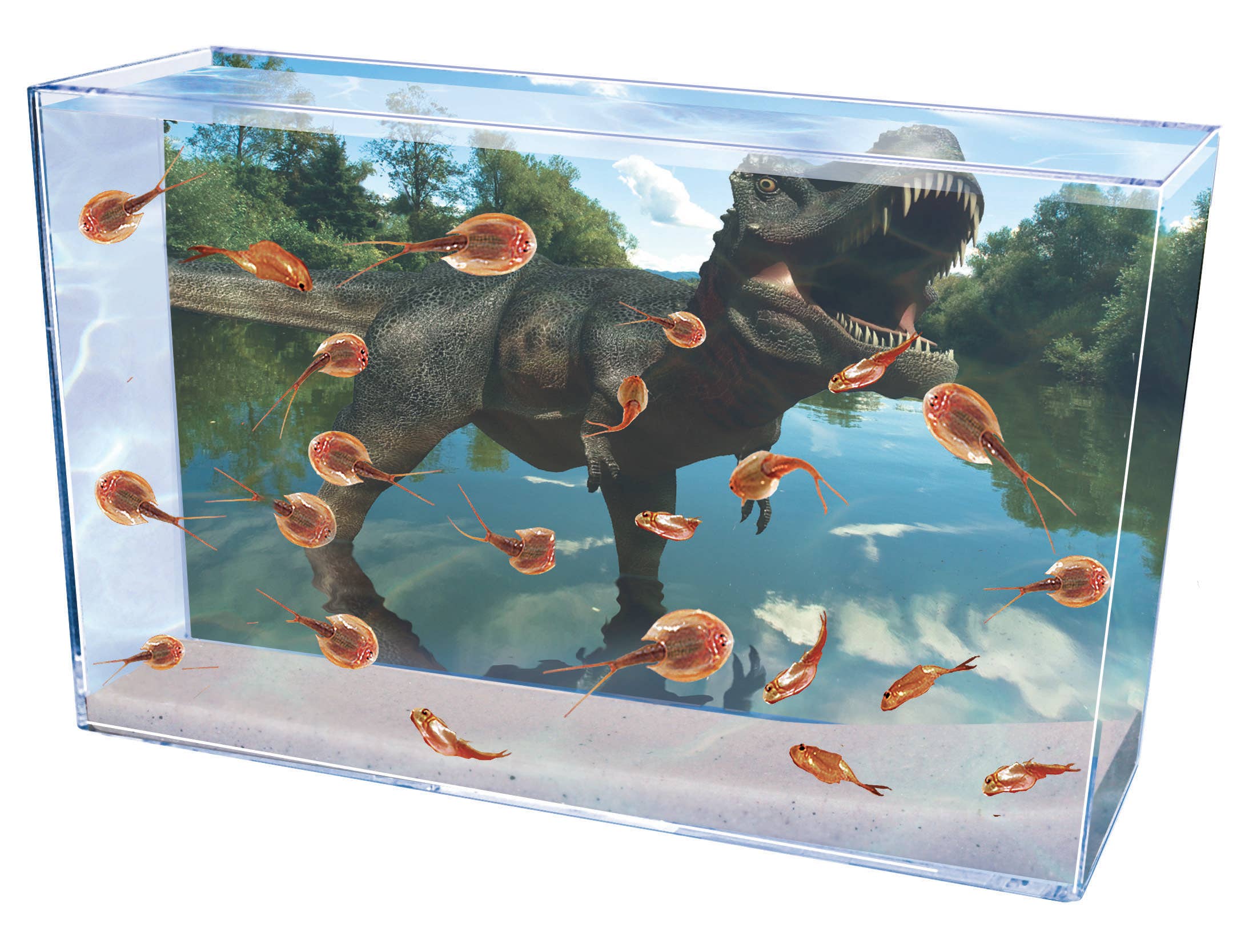 Smithsonian Prehistoric Sea Monsters Set: Life Science Observation Kit – Aquatic Organism Growth and Habitat Study STEM Learning Set (Biology & Life Cycle Exploration)