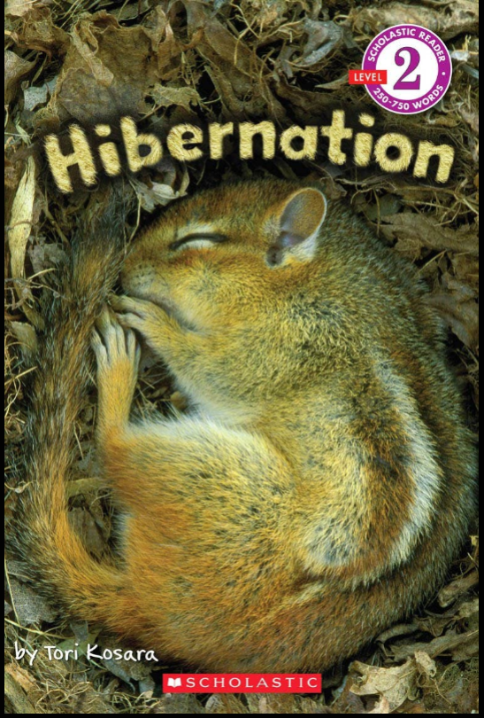 Scholastic Reader Level 2 Bundle: Hibernation, Magic School Bus Rides the Wind, Surprising Swimmers, Robots, Magic School Bus Rides Again: Rock vs. Weather Man