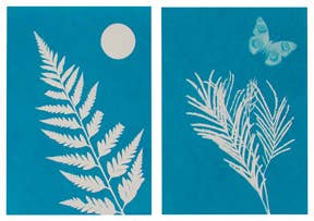 Solar Print Art & Science Kit – STEAM Light Exposure and Nature Observation Learning Activity