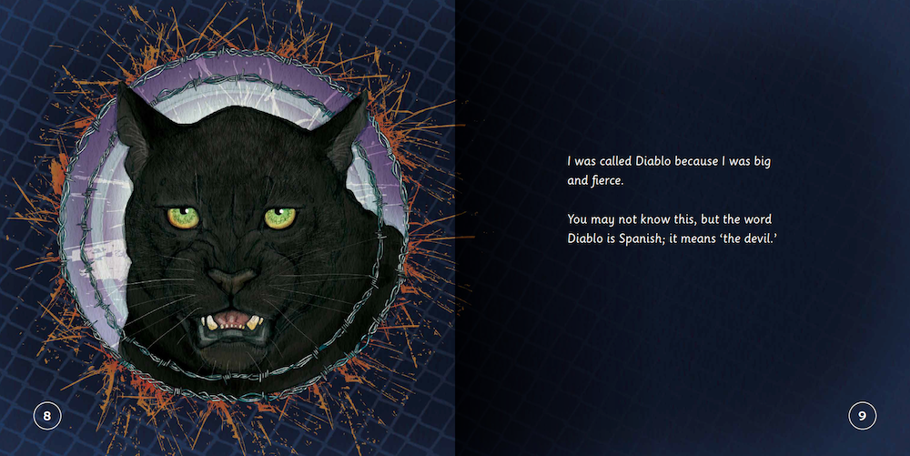 How Diablo Became Spirit: How to connect with animals and respect all beings