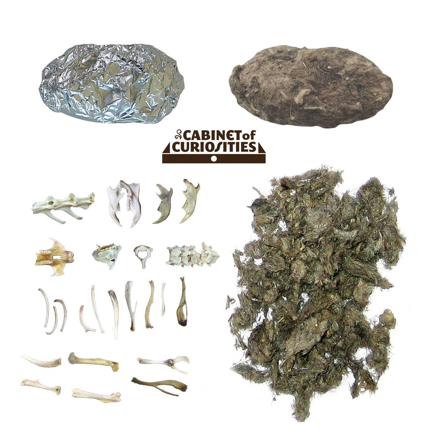 Owl Pellet Dissection Lab: Ecosystem Science, Food Webs, and Comparative Anatomy Exploration Kit