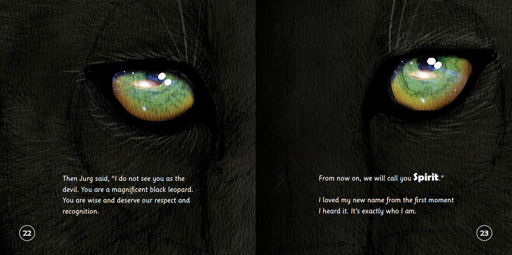 How Diablo Became Spirit: How to connect with animals and respect all beings