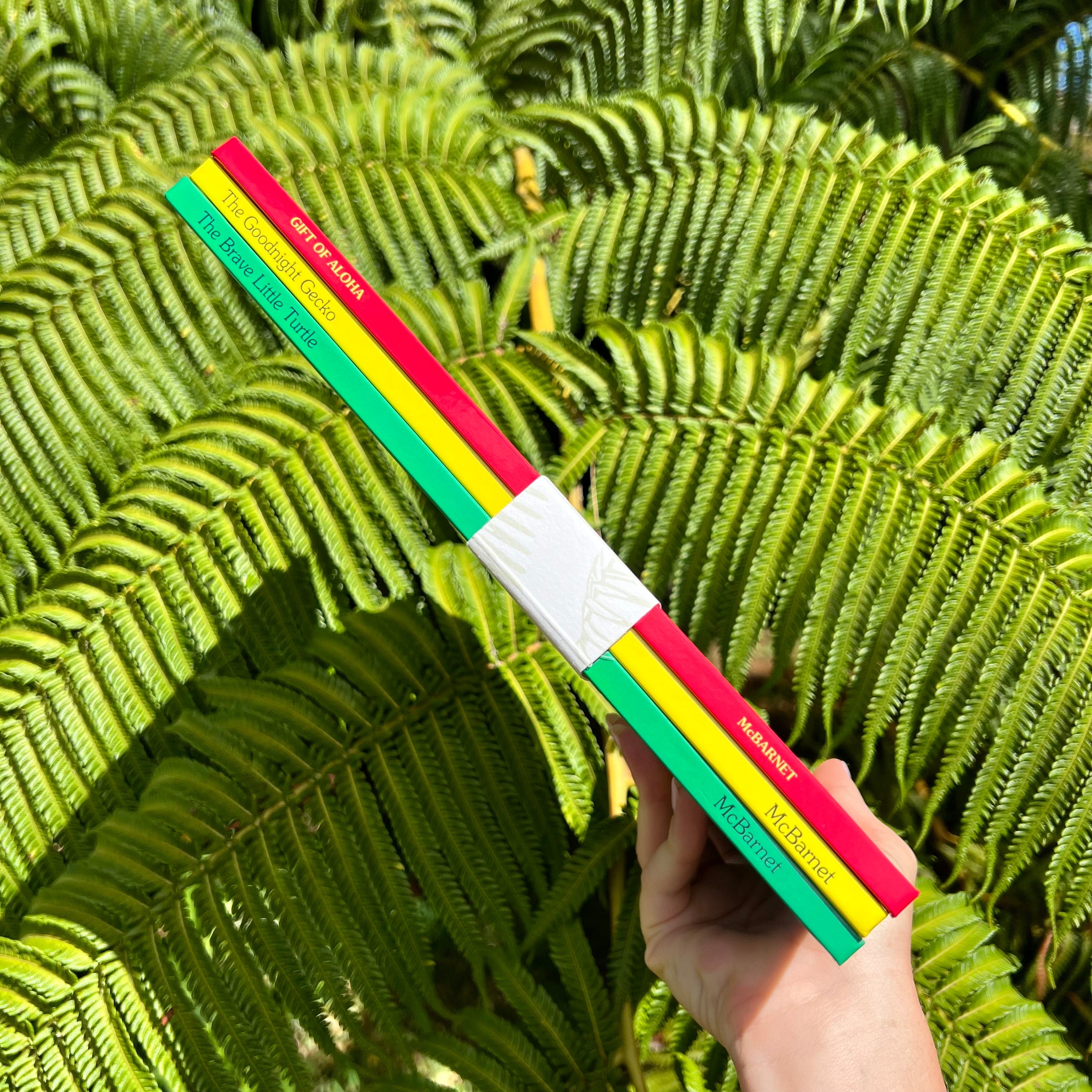 The Classics Collection Set