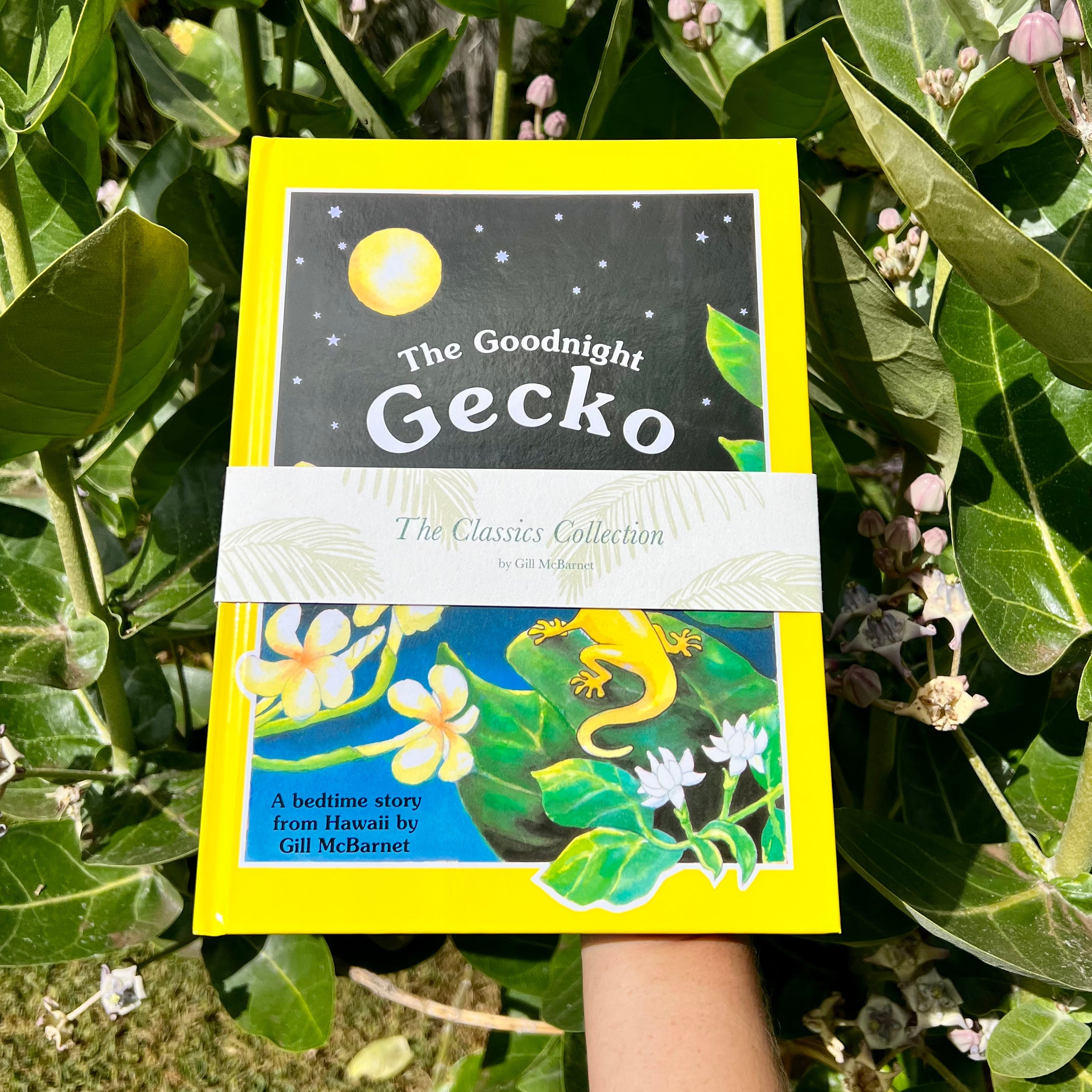 The Classics Collection Set