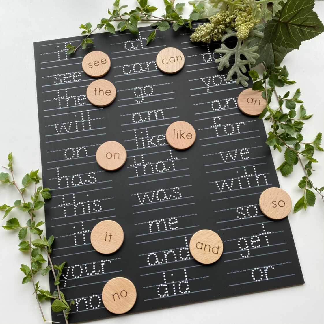 Sight Words Trace-n-Erase Chalkboard®