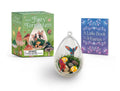 Mini Fairy Terrarium Kit – Nature Science, Ecology, and Creative Design Learning Set with Cultural Literacy Guide