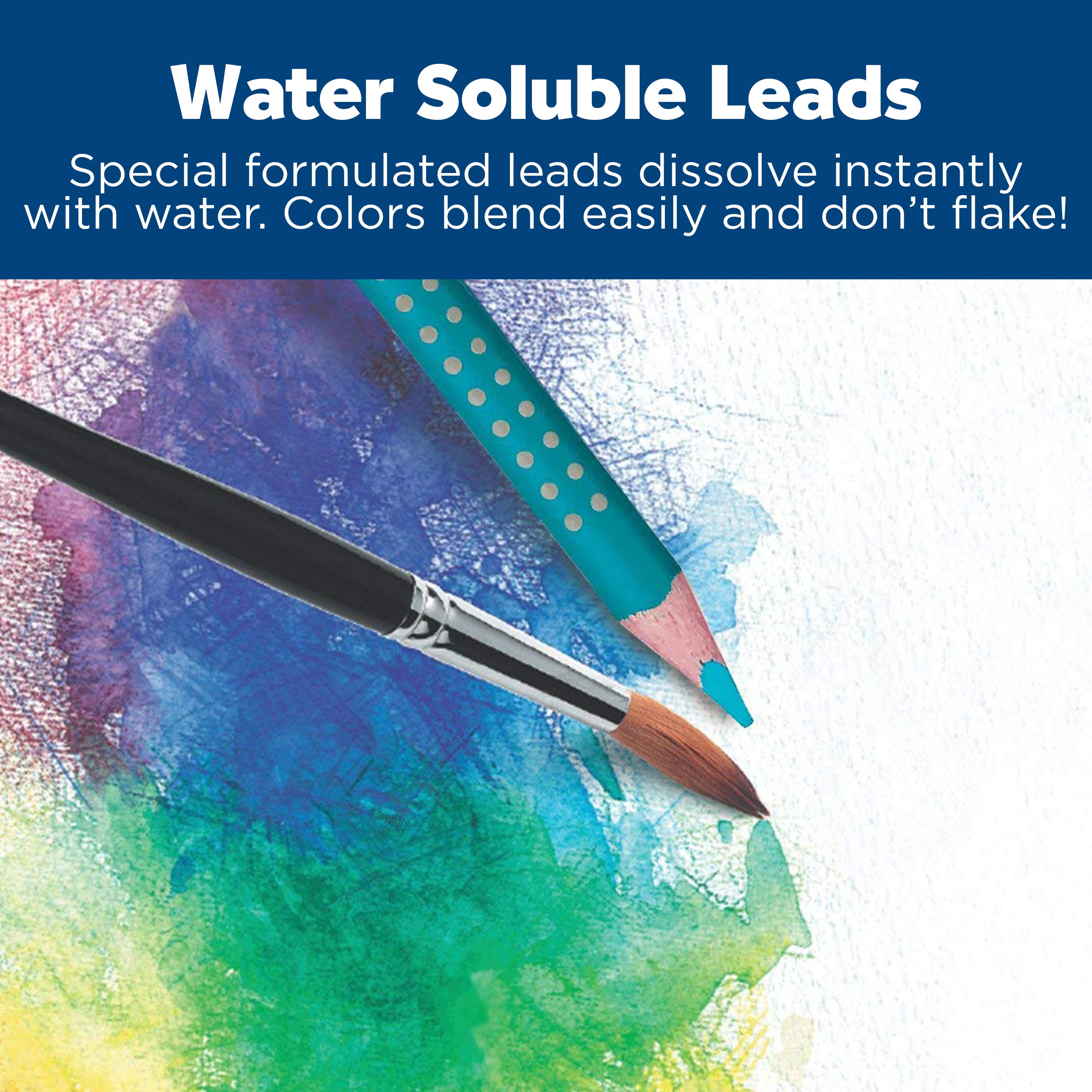 Educational Watercolor Pencil Set (12 Pack) – Triangular Grip EcoPencils for Blending, Color Theory, and Art Skill Development
