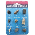 Earth Science Discovery Collection: Rocks, Minerals, Gemstones, and Fossil Identification Study Set